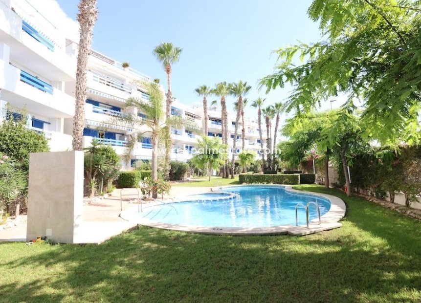 Revente - Appartement -
Orihuela Costa