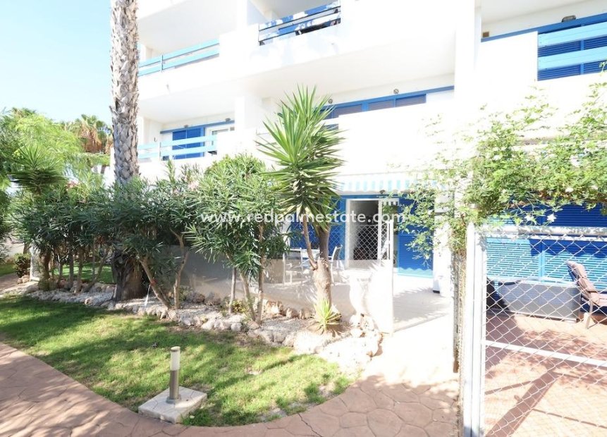 Revente - Appartement -
Orihuela Costa