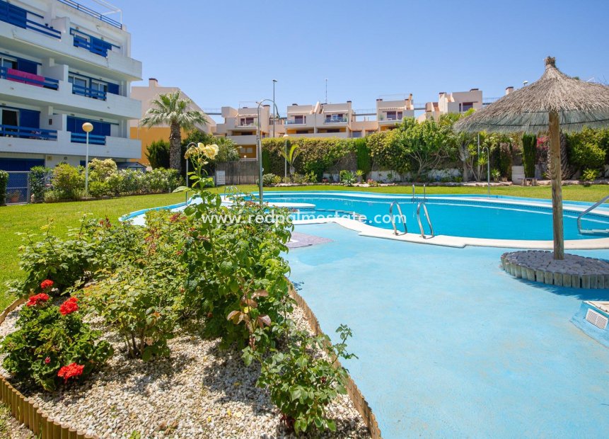 Revente - Appartement -
Orihuela Costa