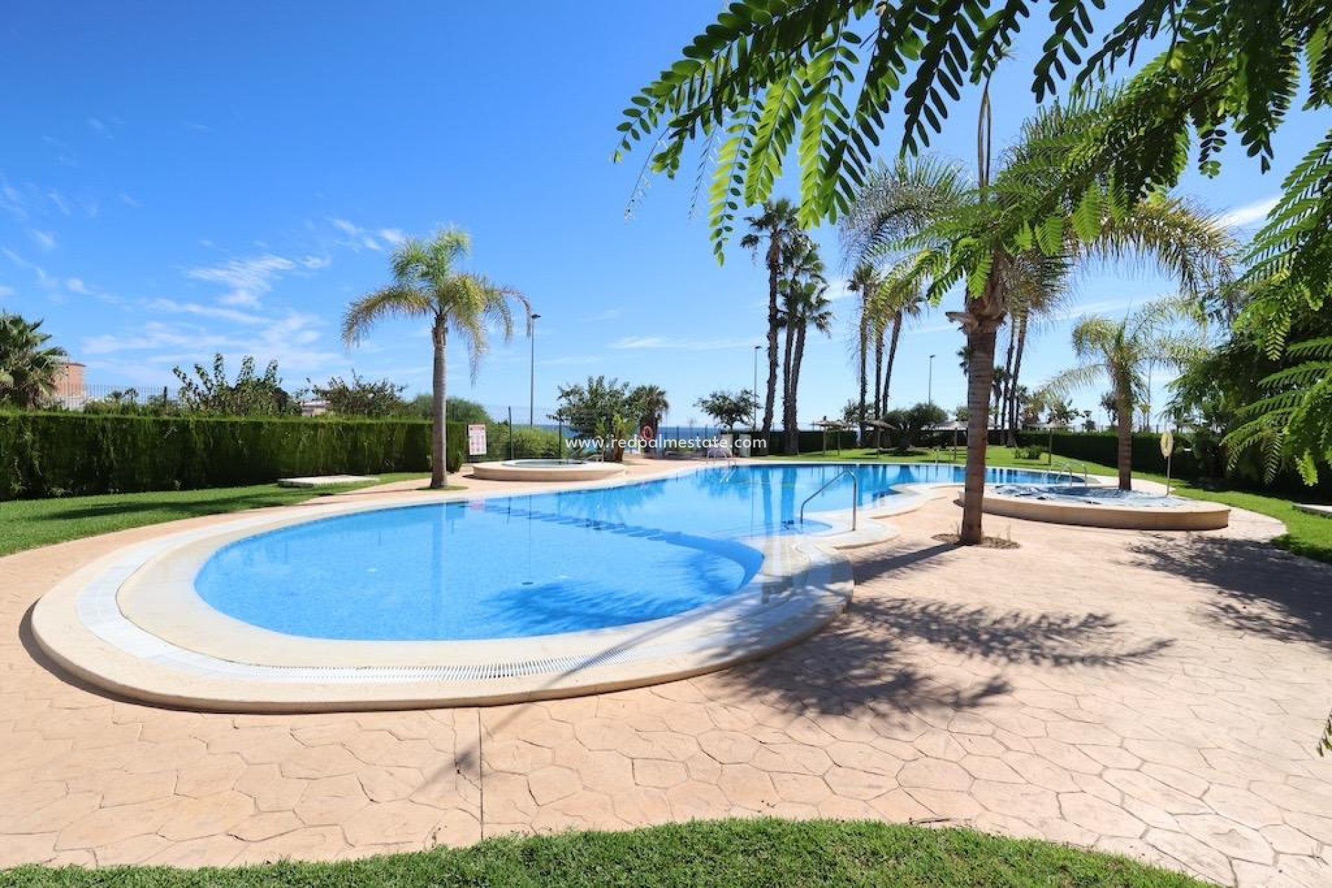 Revente - Appartement -
Pilar de la Horadada - Mil Palmeras