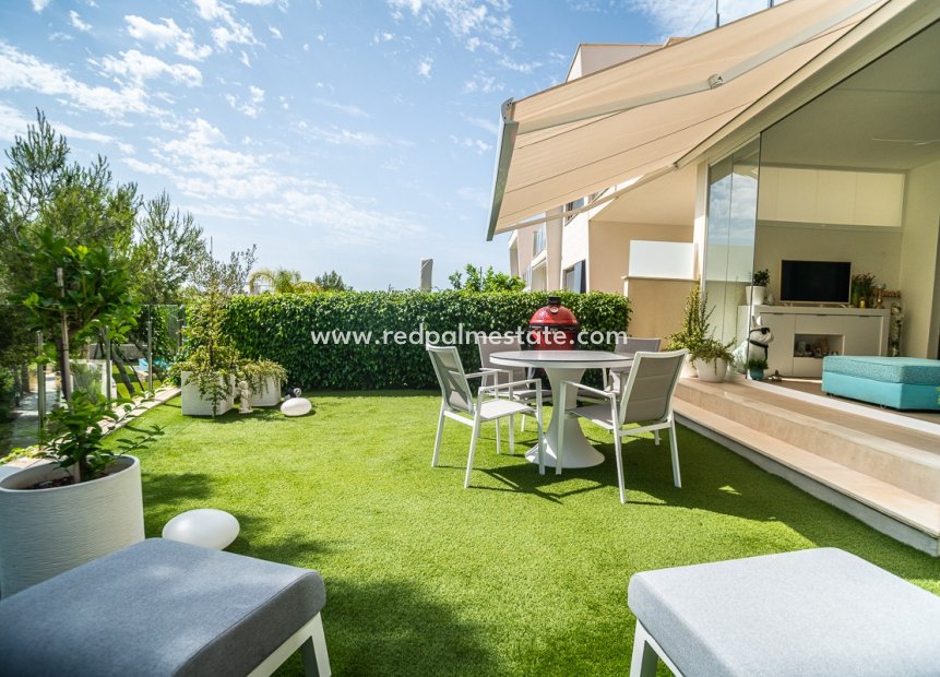 Revente - Appartement -
Pilar de la Horadada