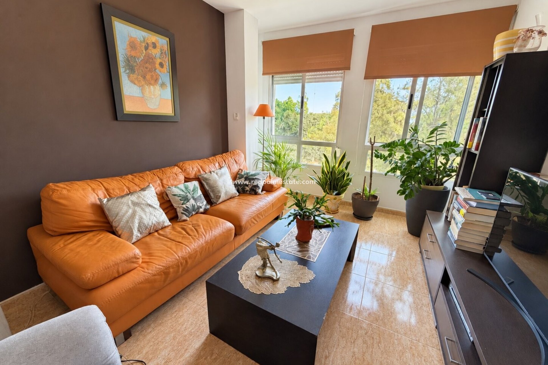 Revente - Appartement -
Pilar de la Horadada