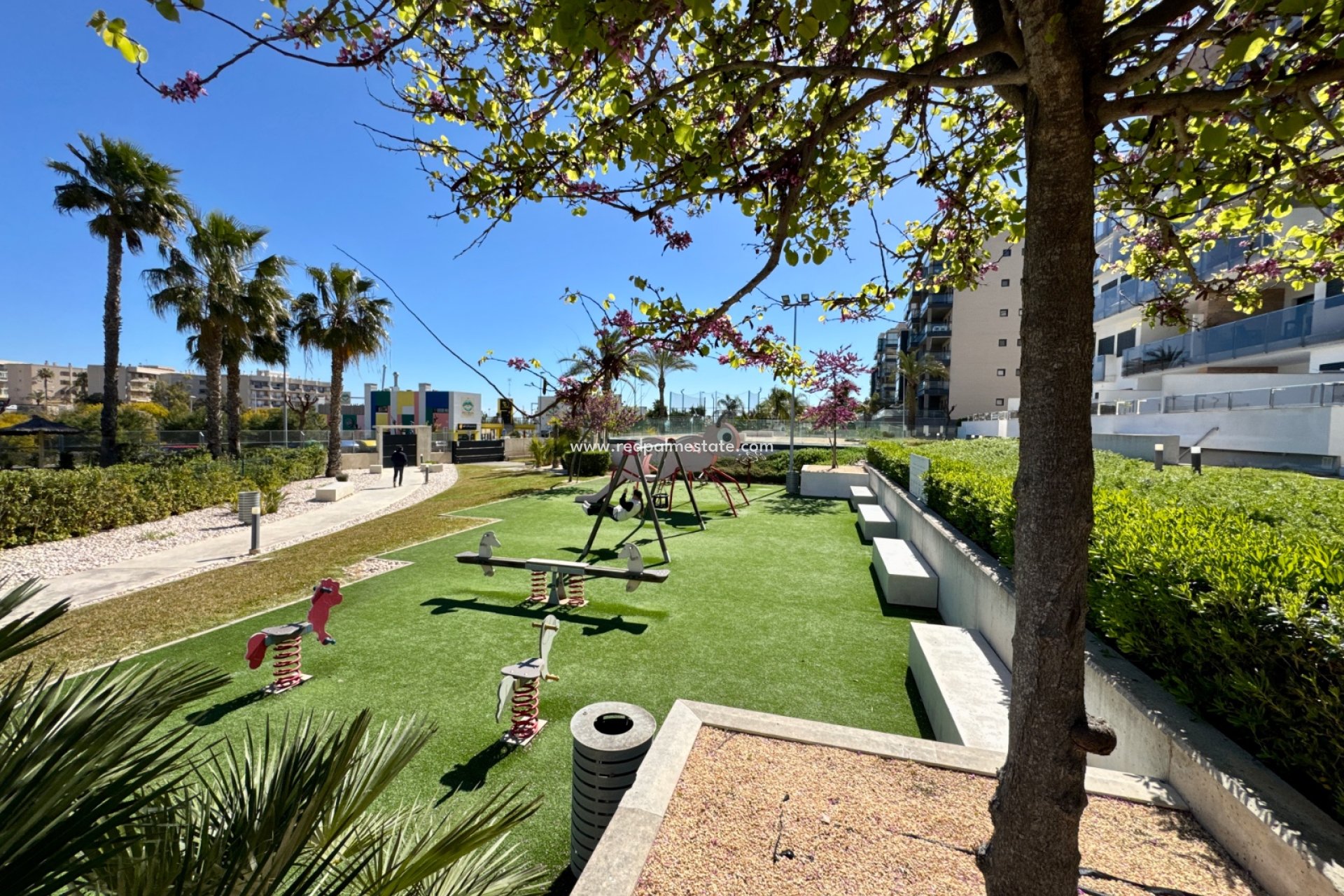 Revente - Appartement -
Pilar de la Horadada