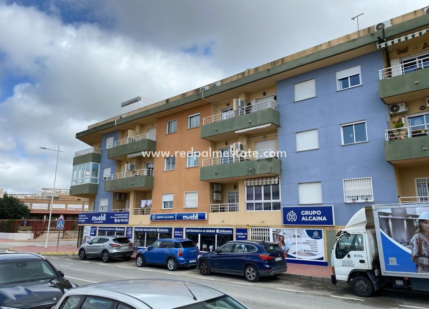 Revente - Appartement -
San Miguel de Salinas - Pueblo 9