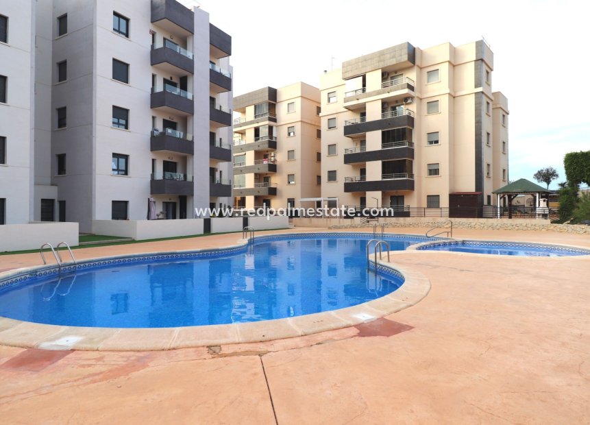 Revente - Appartement -
San Miguel de Salinas