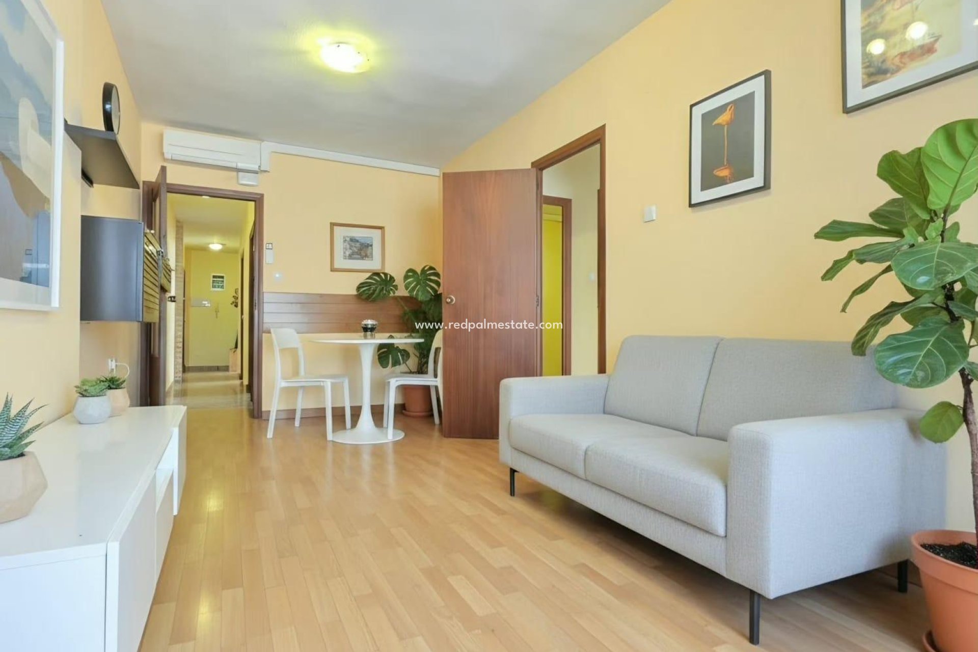 Revente - Appartement -
San Pedro del Pinatar - Villananitos