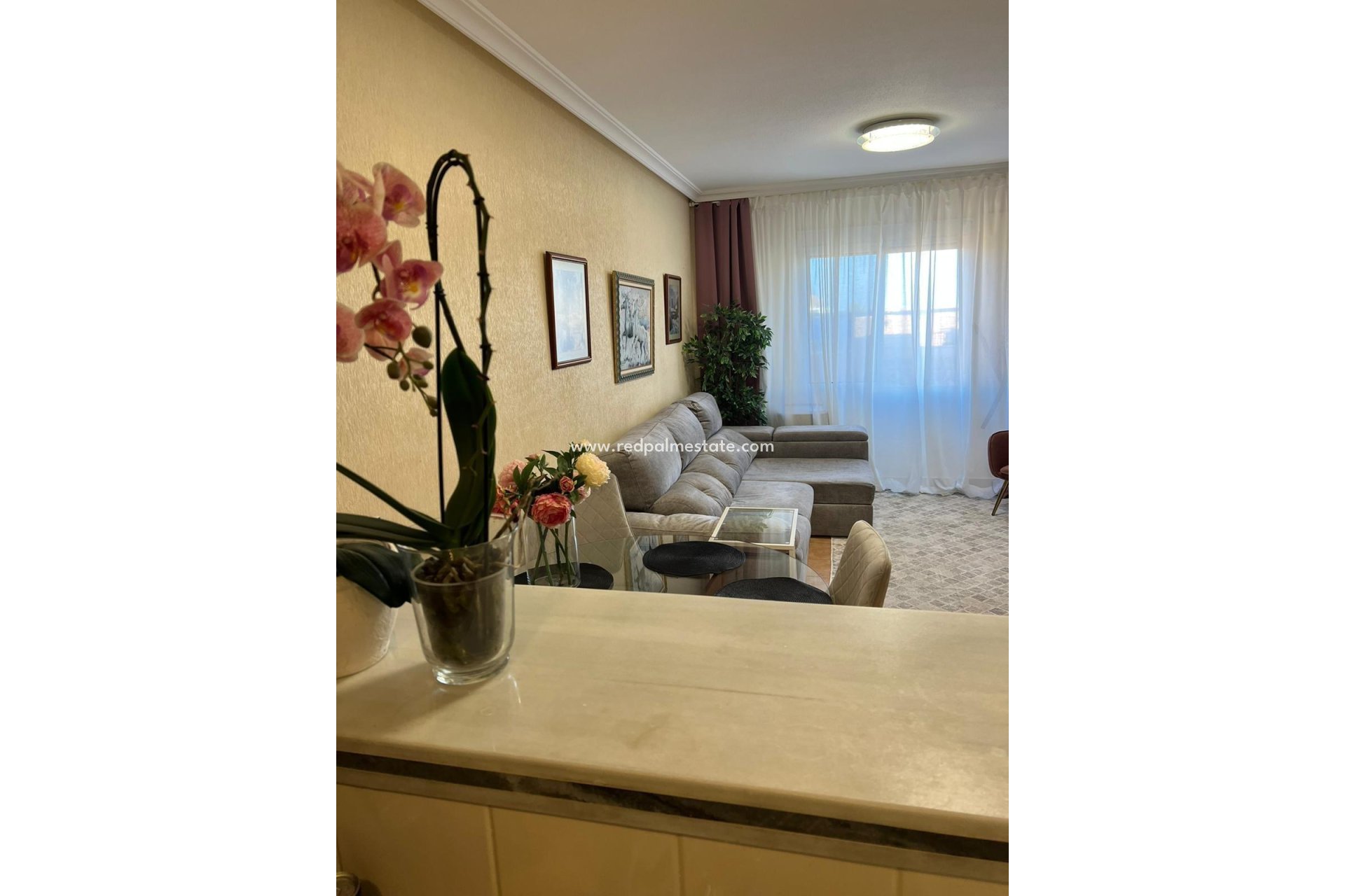 Revente - Appartement -
Torrevieja - Aguas Nuevas