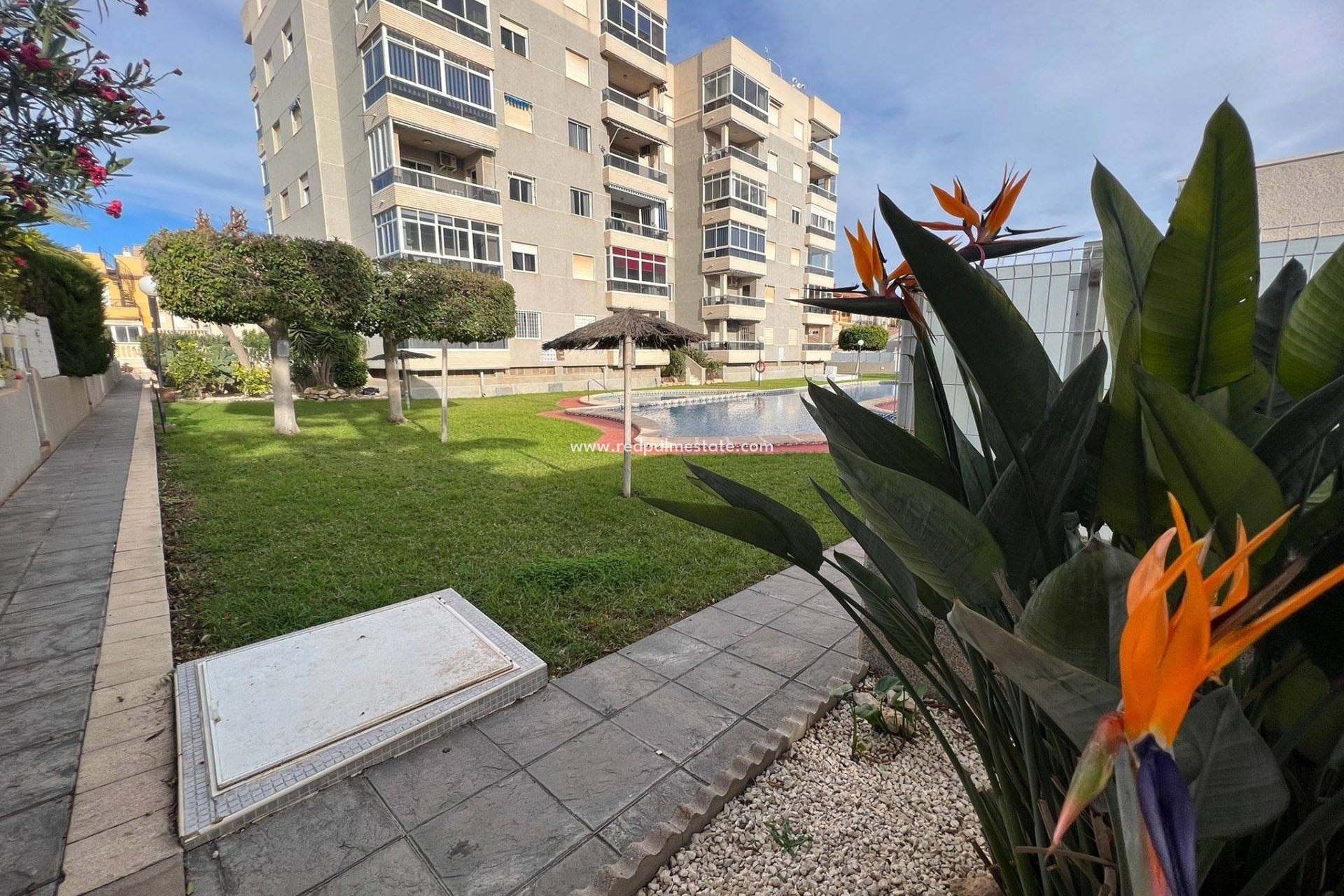 Revente - Appartement -
Torrevieja - Aguas Nuevas