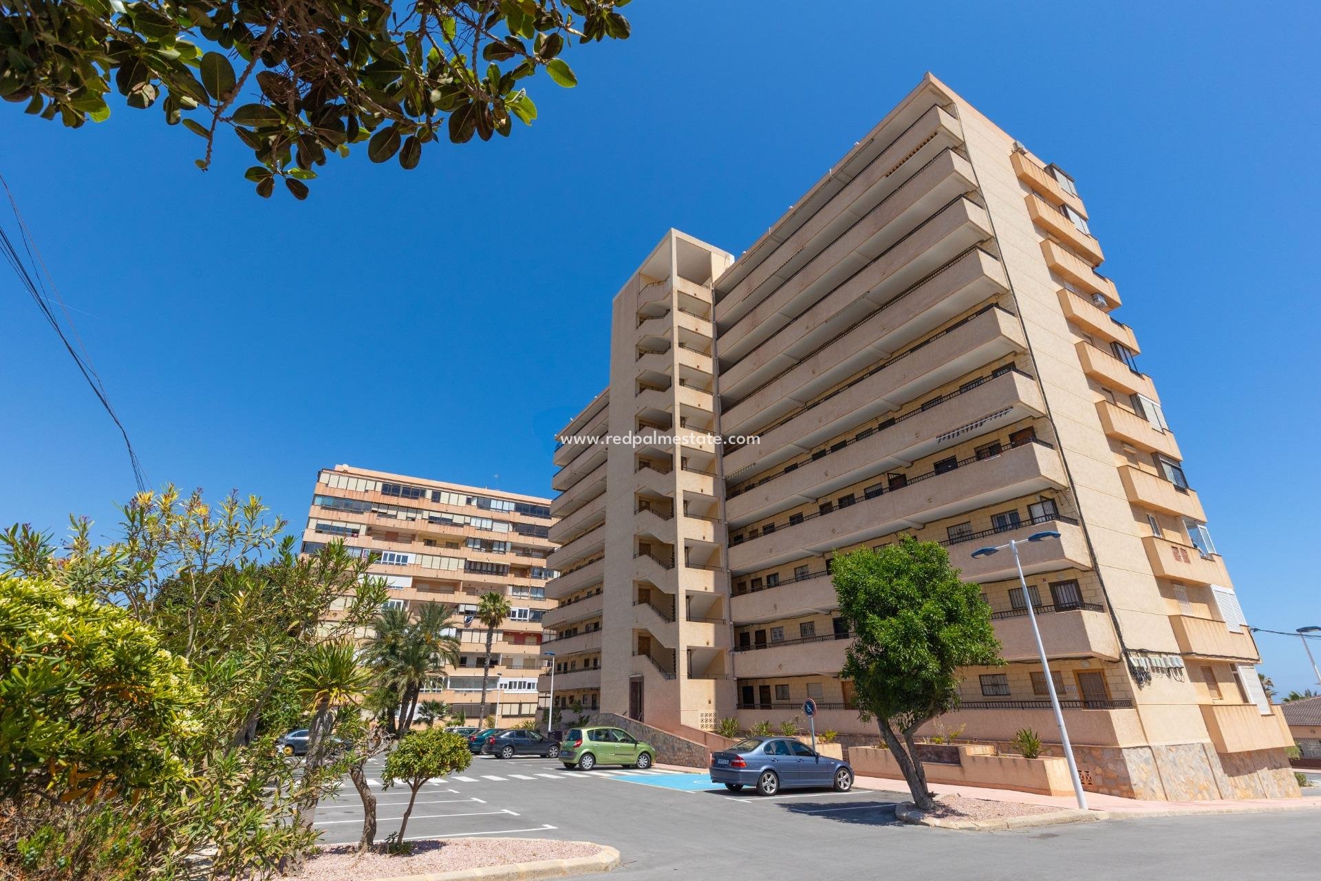 Revente - Appartement -
Torrevieja - Cabo cervera
