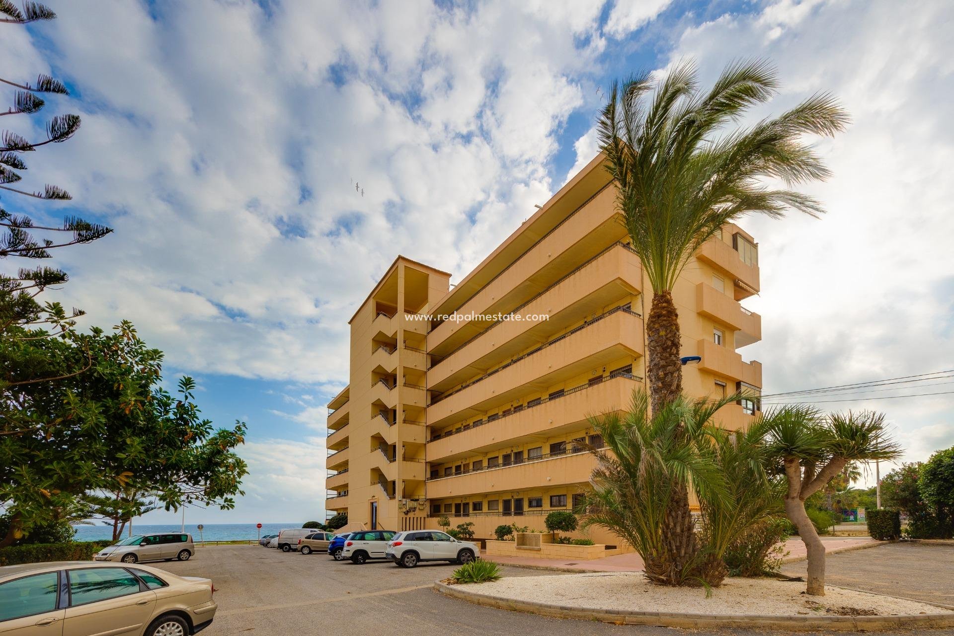 Revente - Appartement -
Torrevieja - Cabo cervera