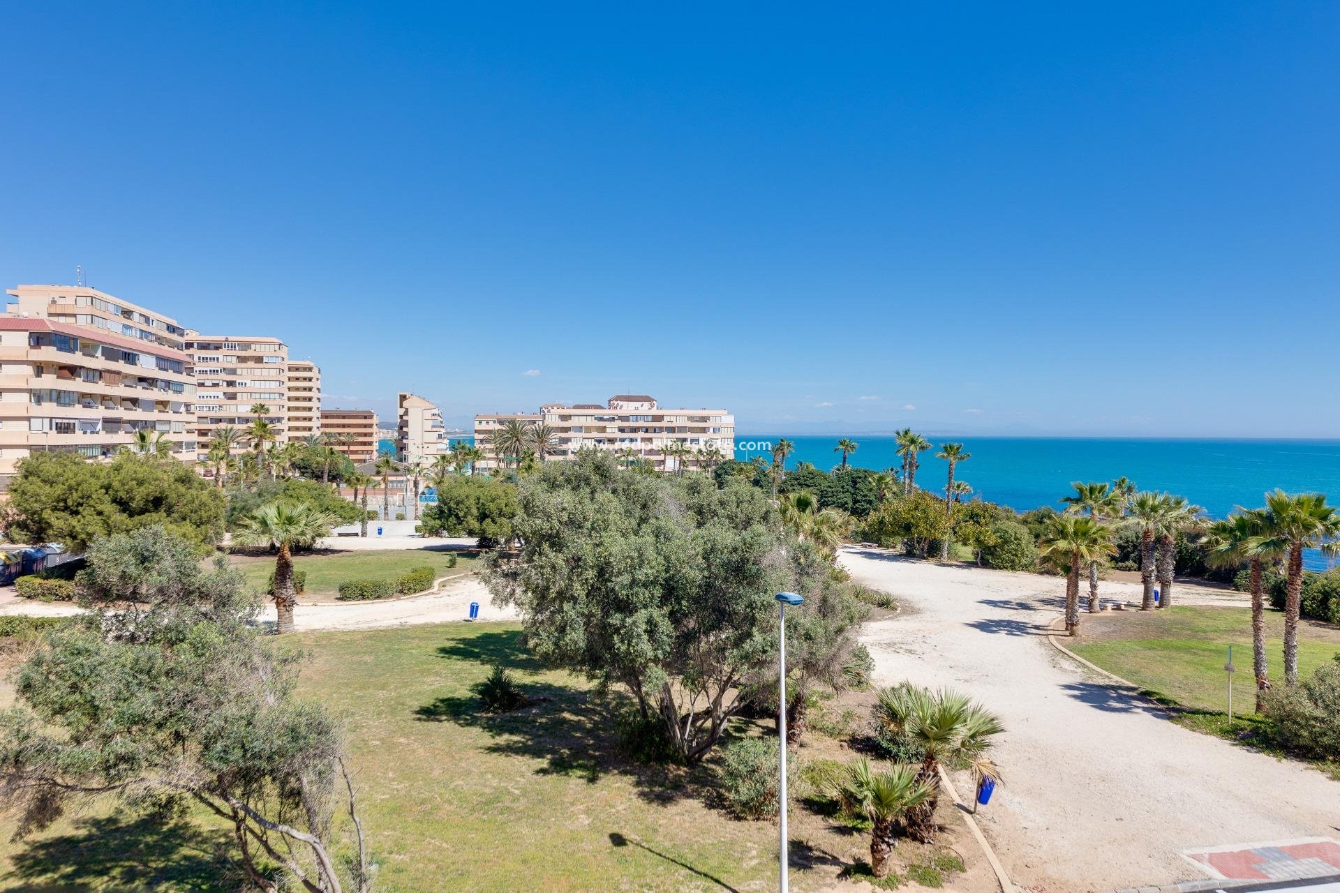 Revente - Appartement -
Torrevieja - Cabo cervera