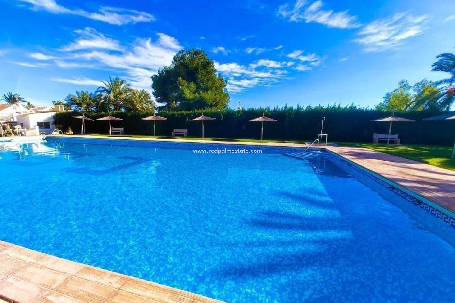 Revente - Appartement -
Torrevieja - Calas blanca