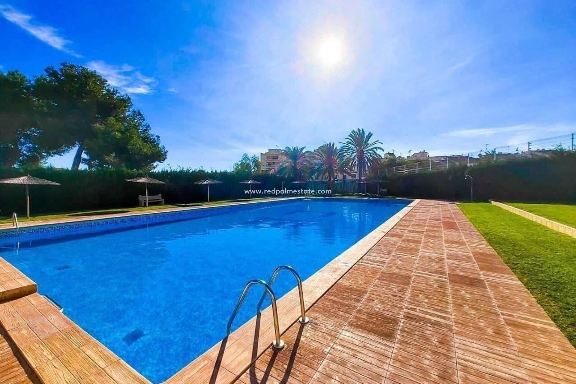 Revente - Appartement -
Torrevieja - Calas blanca