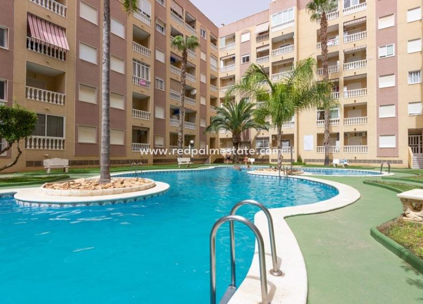 Revente - Appartement -
Torrevieja - Center