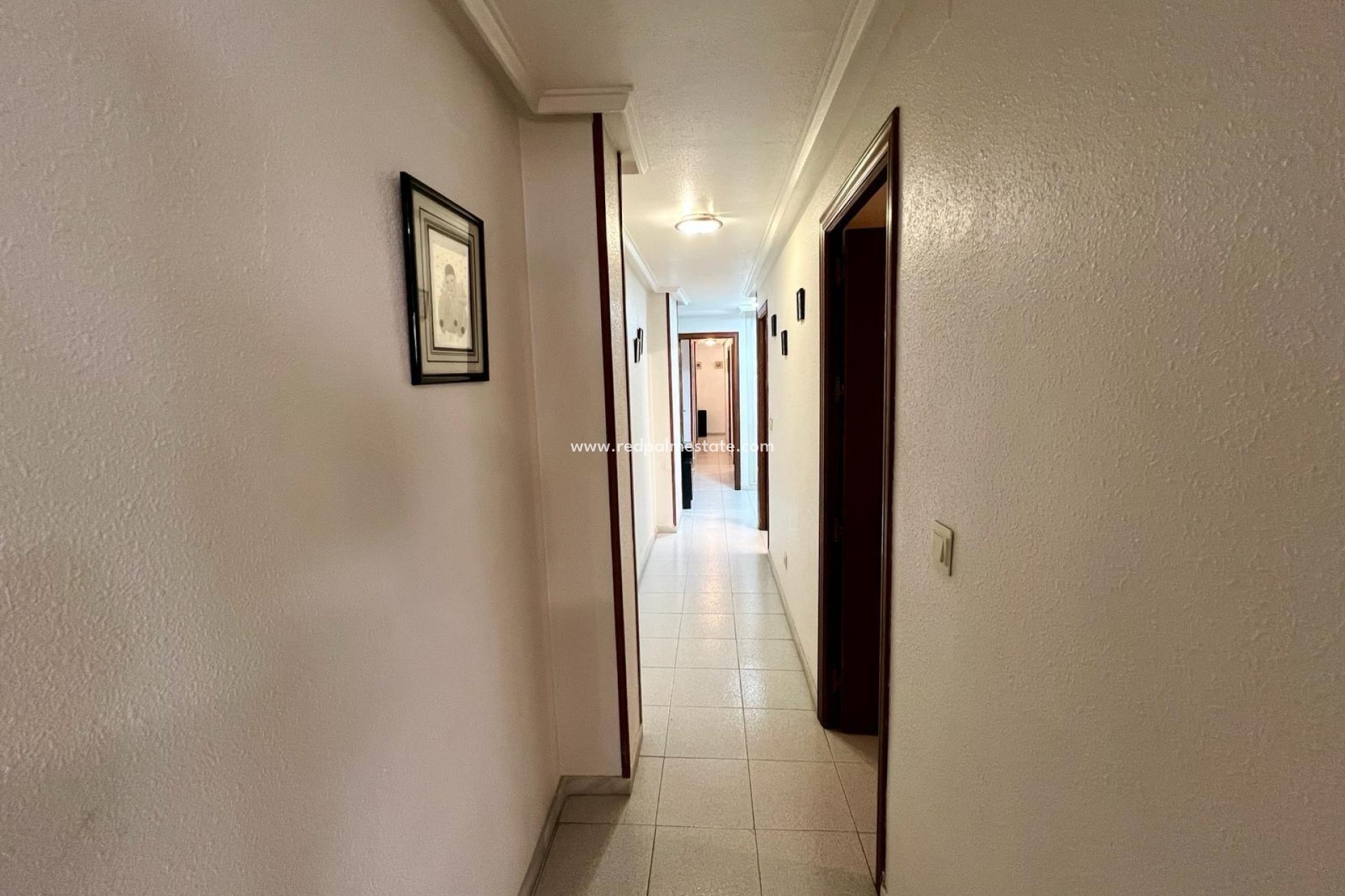 Revente - Appartement -
Torrevieja - Center