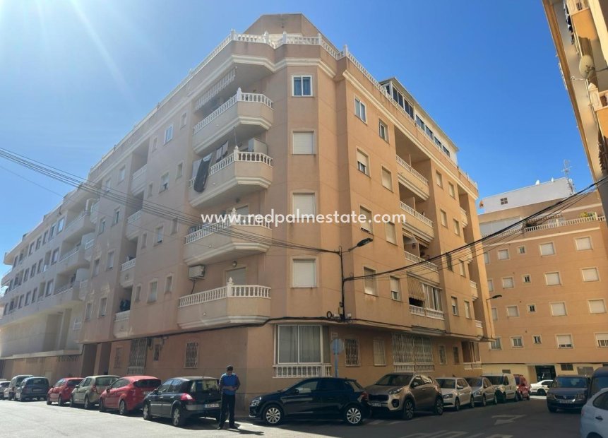 Revente - Appartement -
Torrevieja - Centro Torrevieja