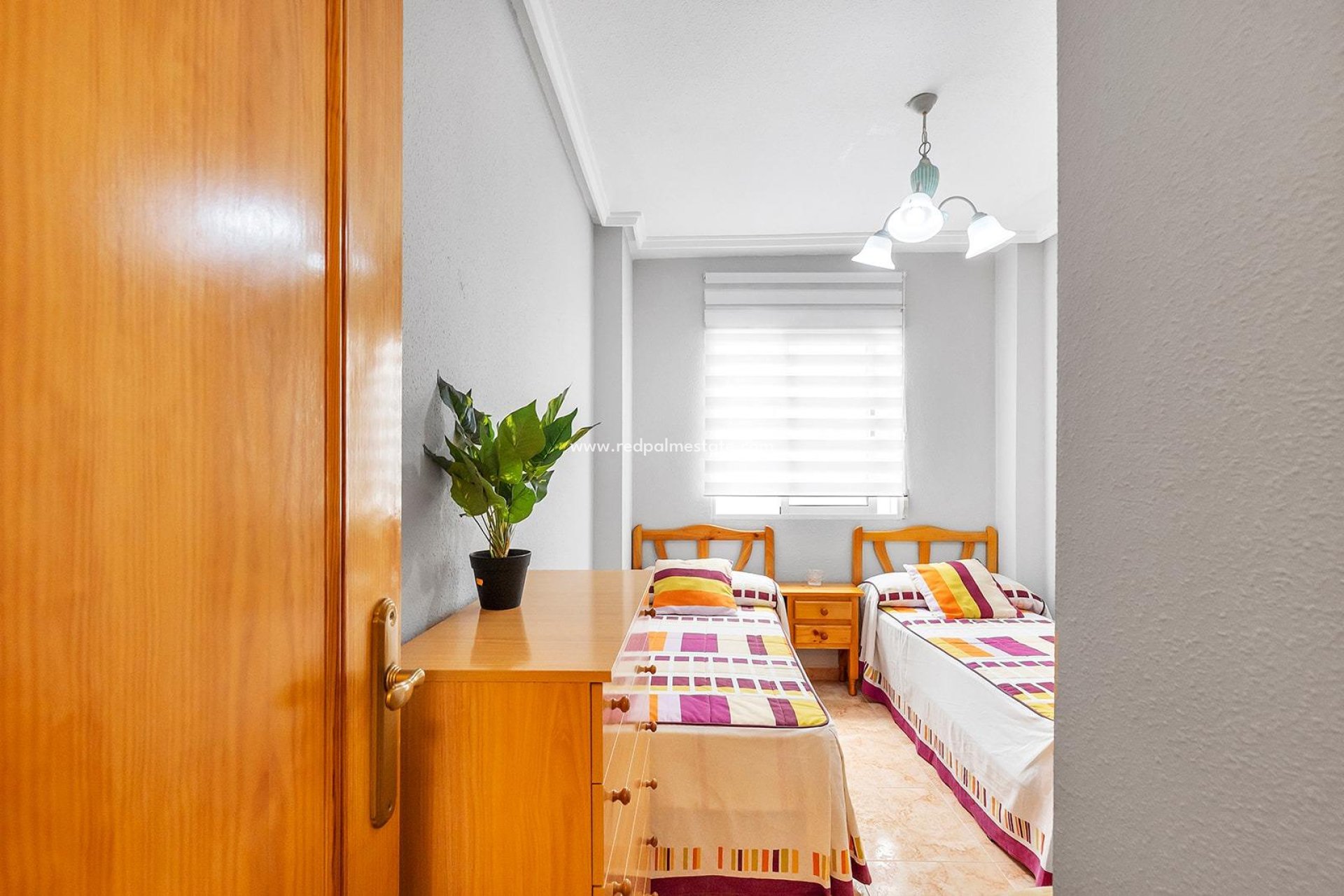 Revente - Appartement -
Torrevieja - Centro Torrevieja