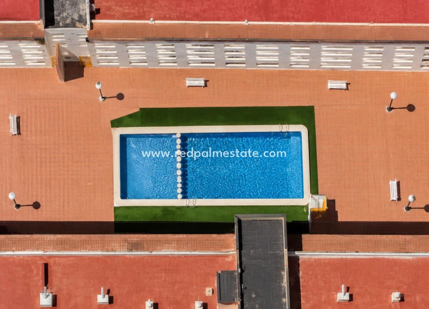 Revente - Appartement -
Torrevieja - Centro Torrevieja