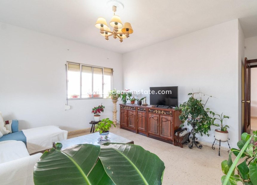 Revente - Appartement -
Torrevieja - Centro Torrevieja