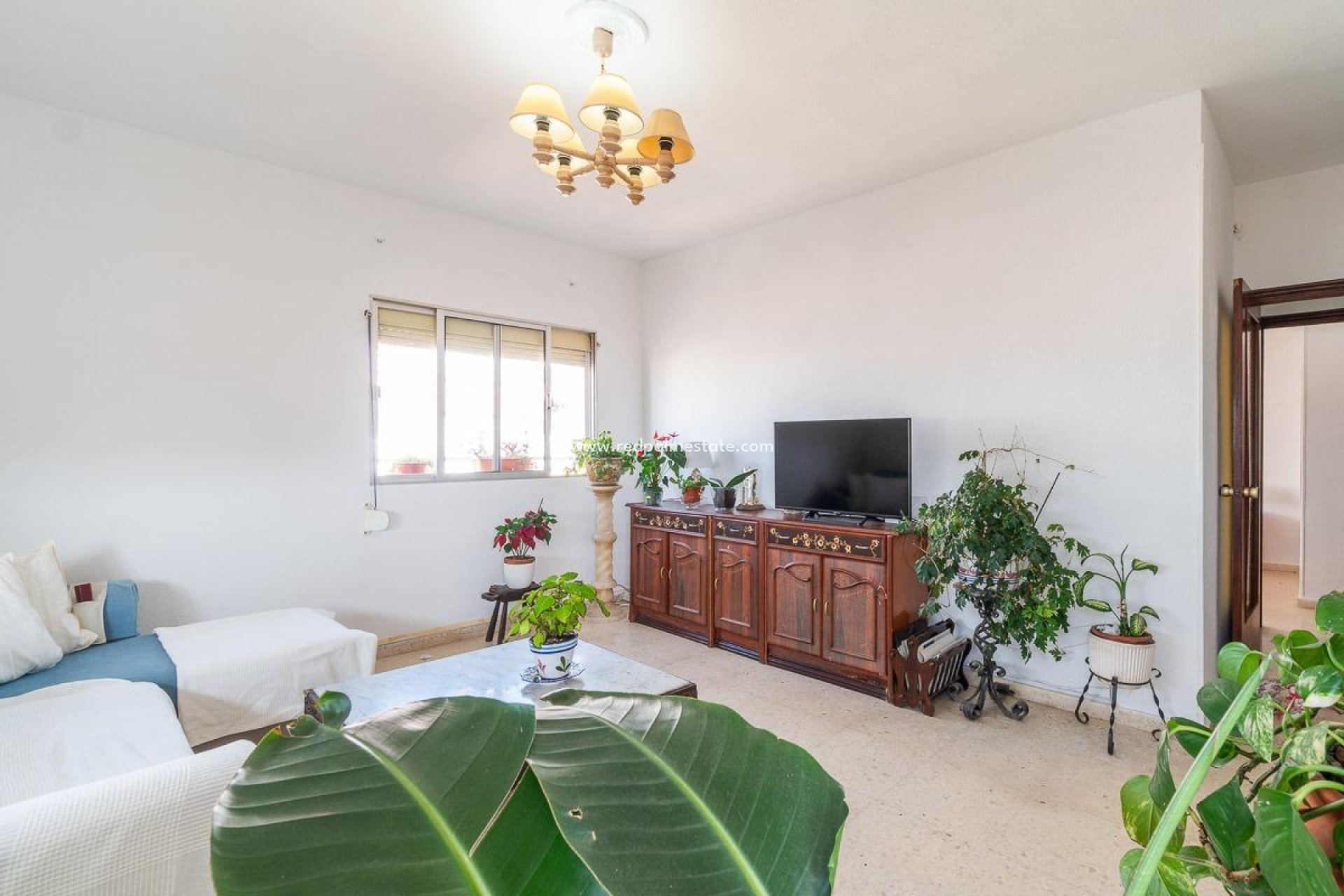 Revente - Appartement -
Torrevieja - Centro Torrevieja