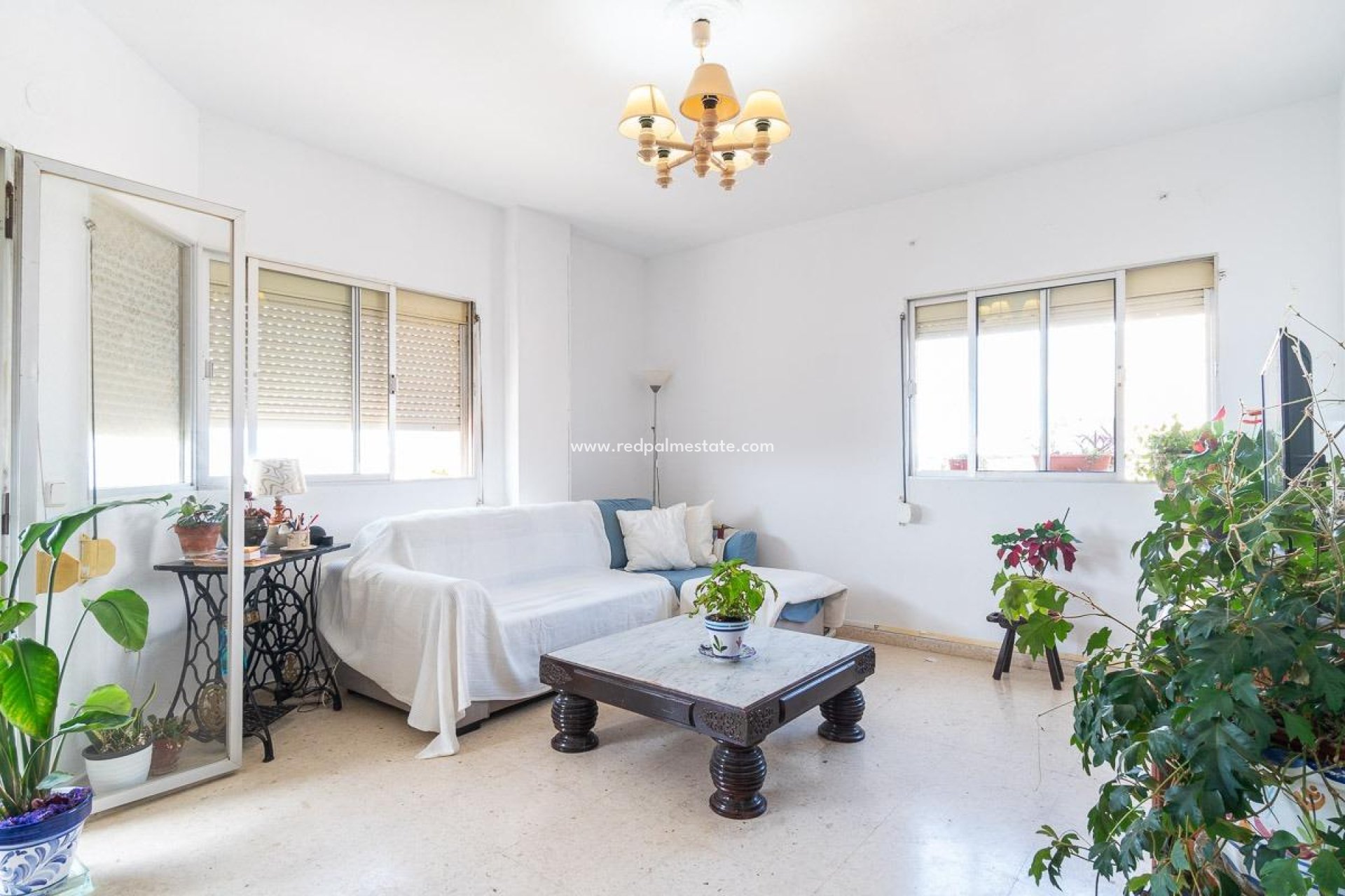 Revente - Appartement -
Torrevieja - Centro Torrevieja