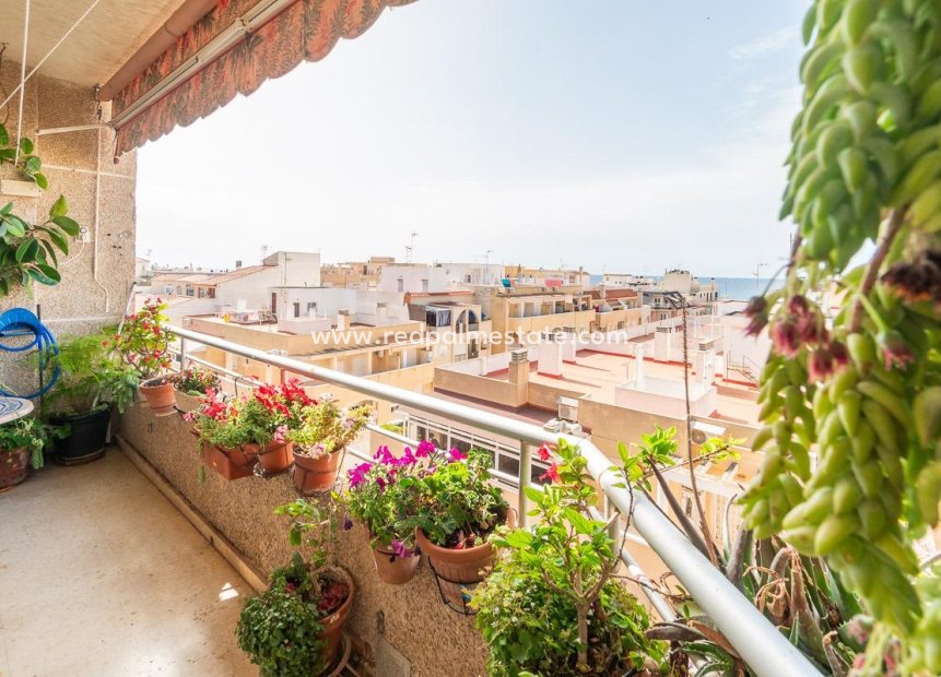 Revente - Appartement -
Torrevieja - Centro Torrevieja