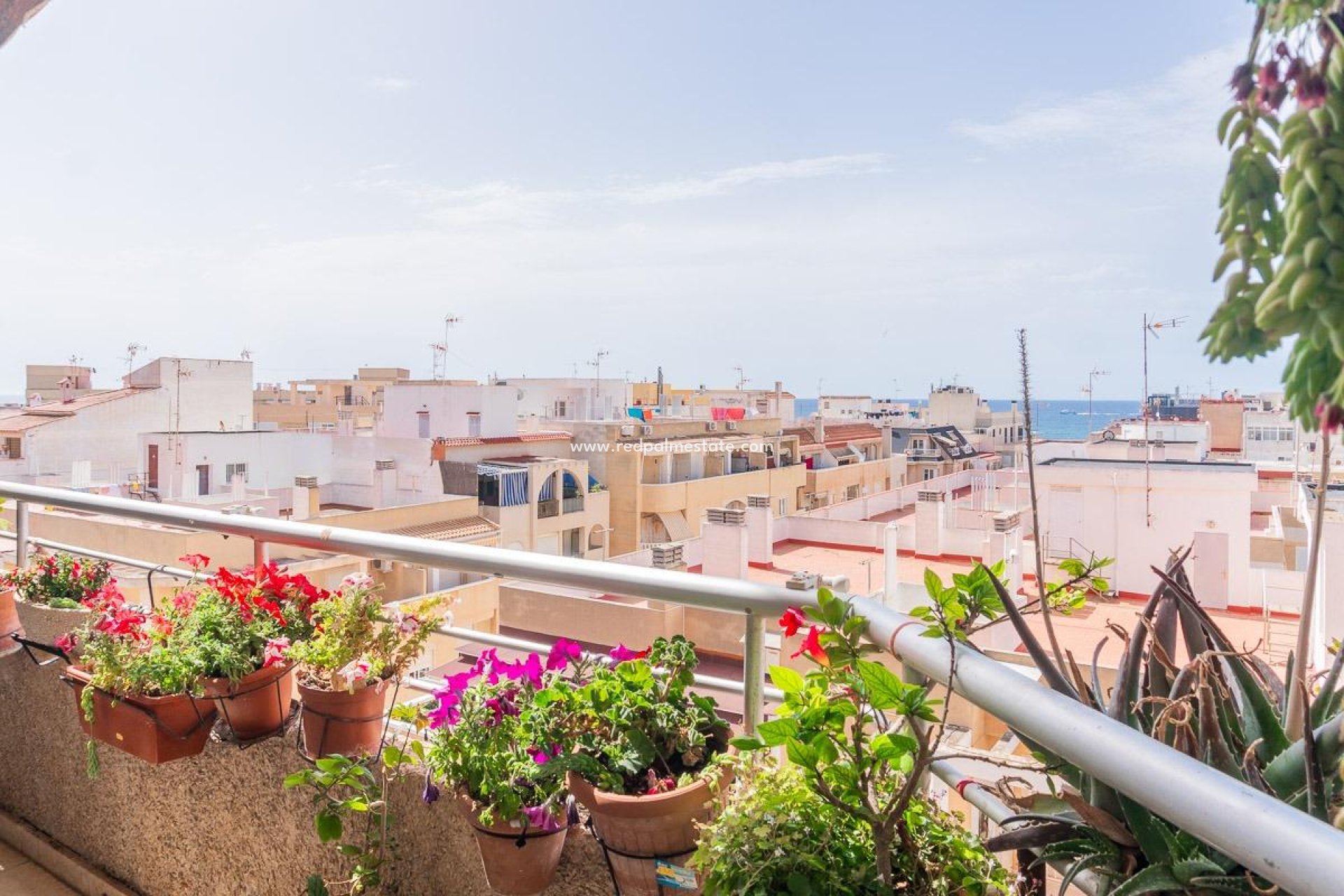 Revente - Appartement -
Torrevieja - Centro Torrevieja