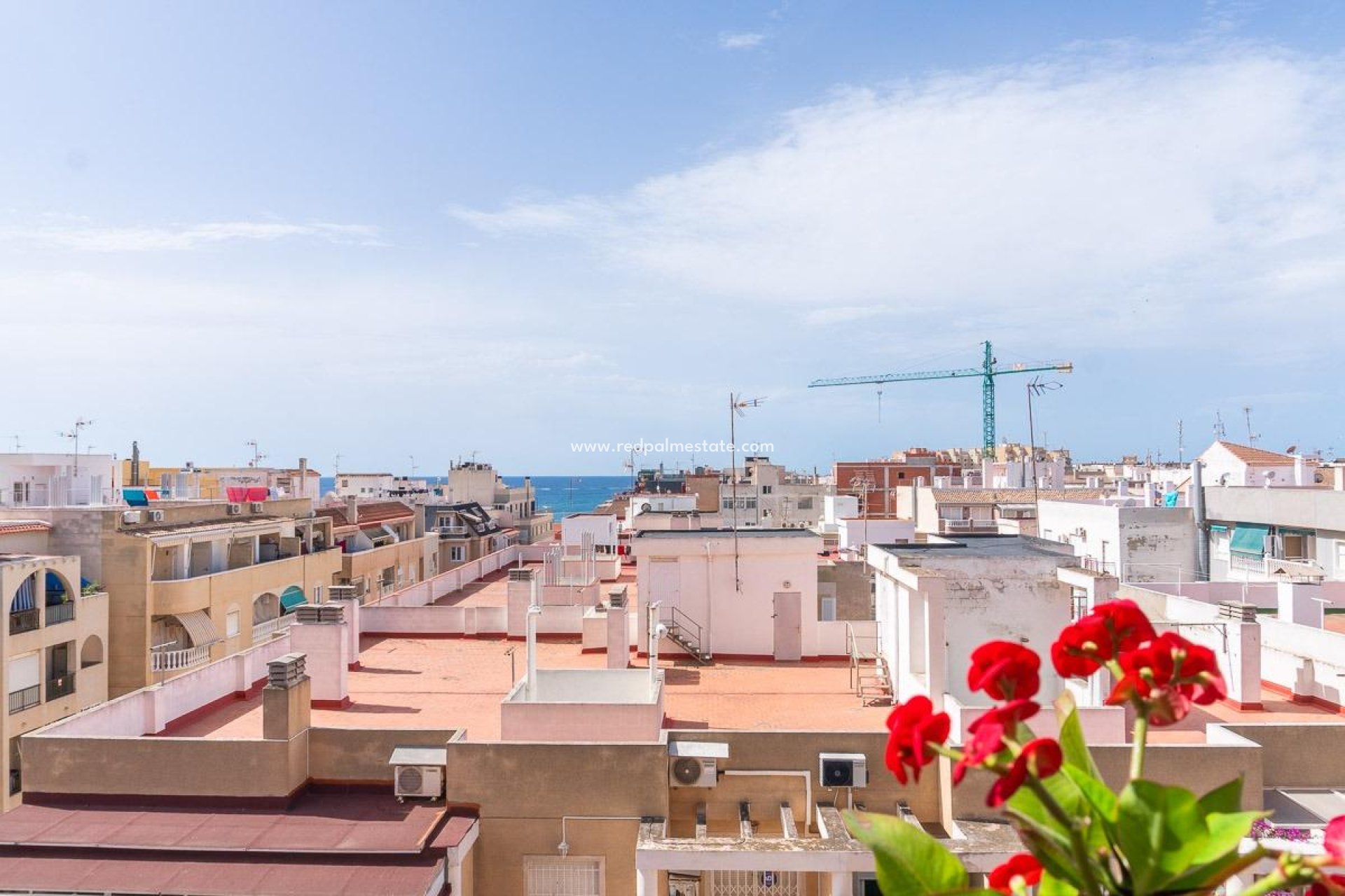 Revente - Appartement -
Torrevieja - Centro Torrevieja