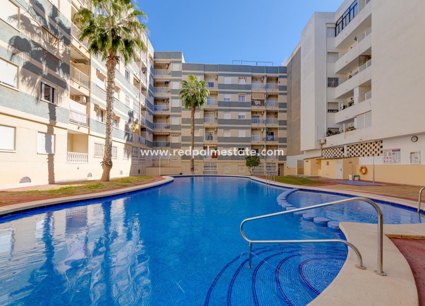 Revente - Appartement -
Torrevieja - Centro Torrevieja