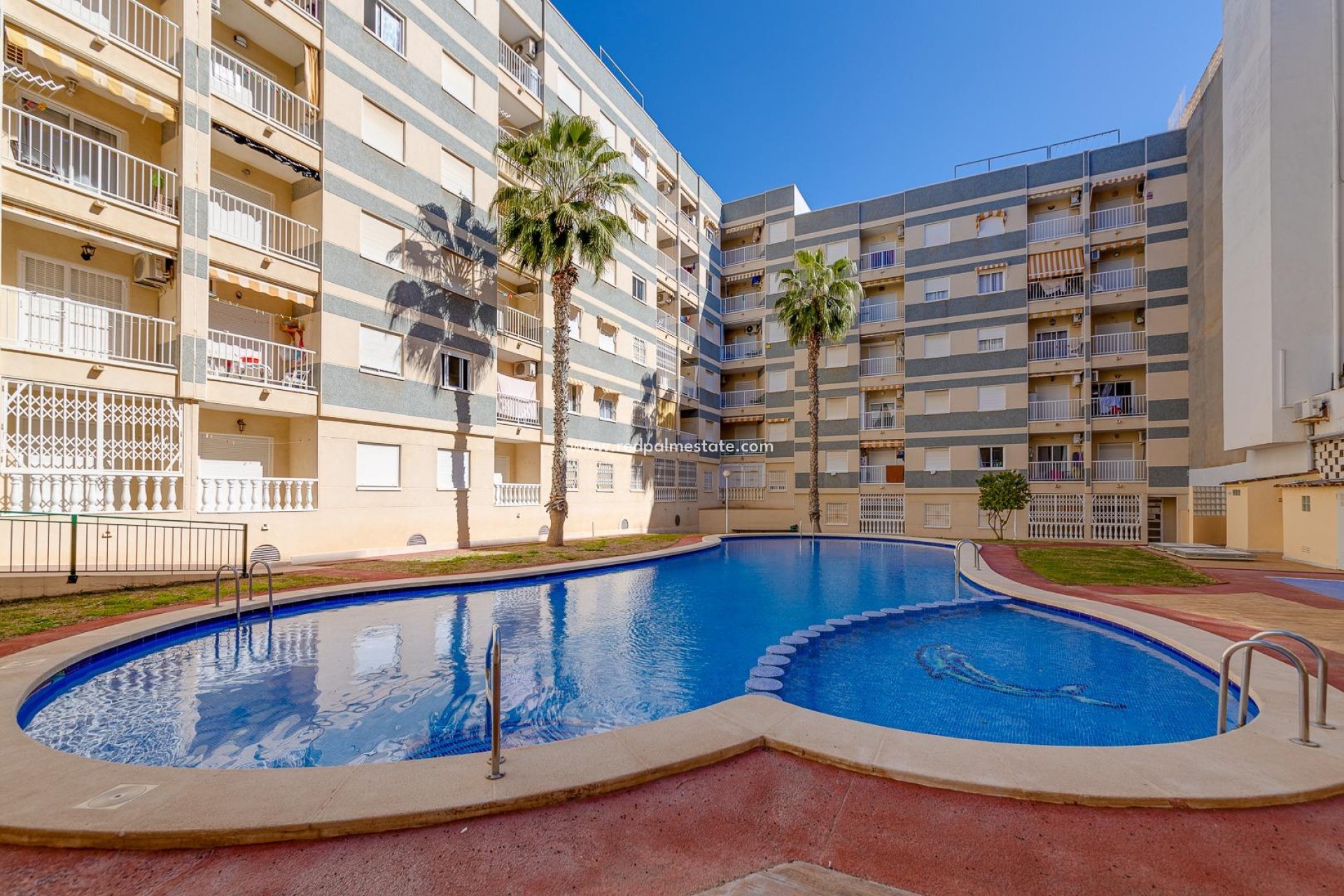 Revente - Appartement -
Torrevieja - Centro Torrevieja