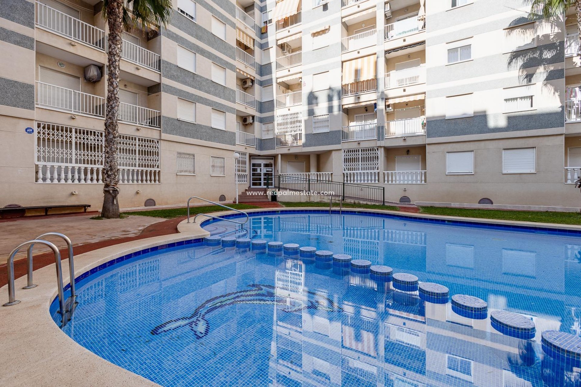 Revente - Appartement -
Torrevieja - Centro Torrevieja