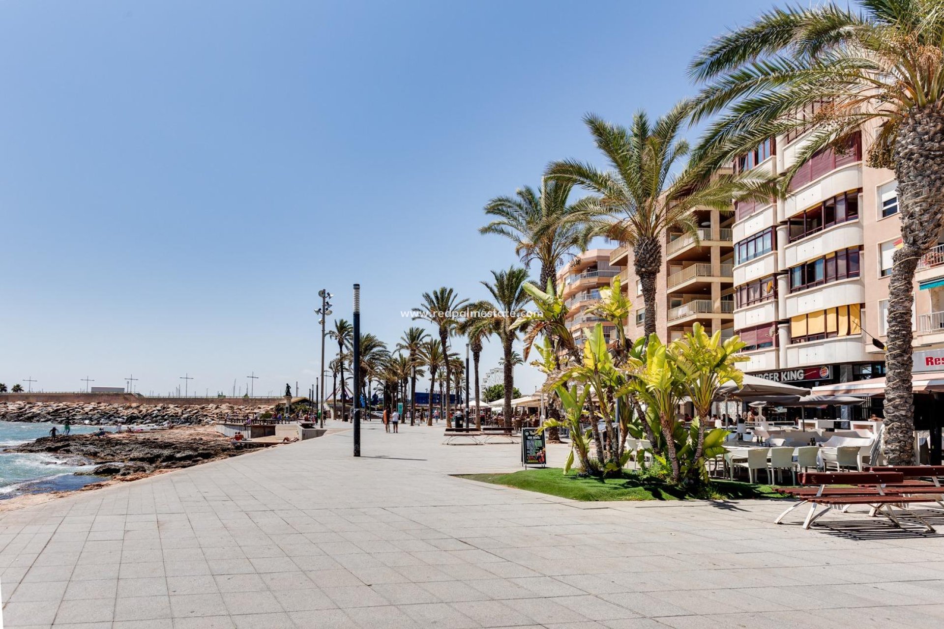 Revente - Appartement -
Torrevieja - Centro Torrevieja