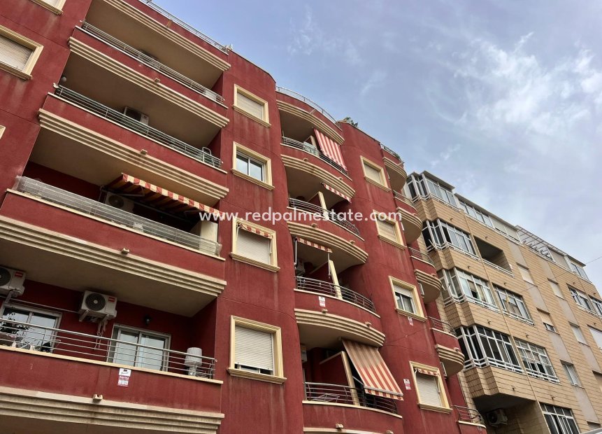 Revente - Appartement -
Torrevieja - Centro Torrevieja