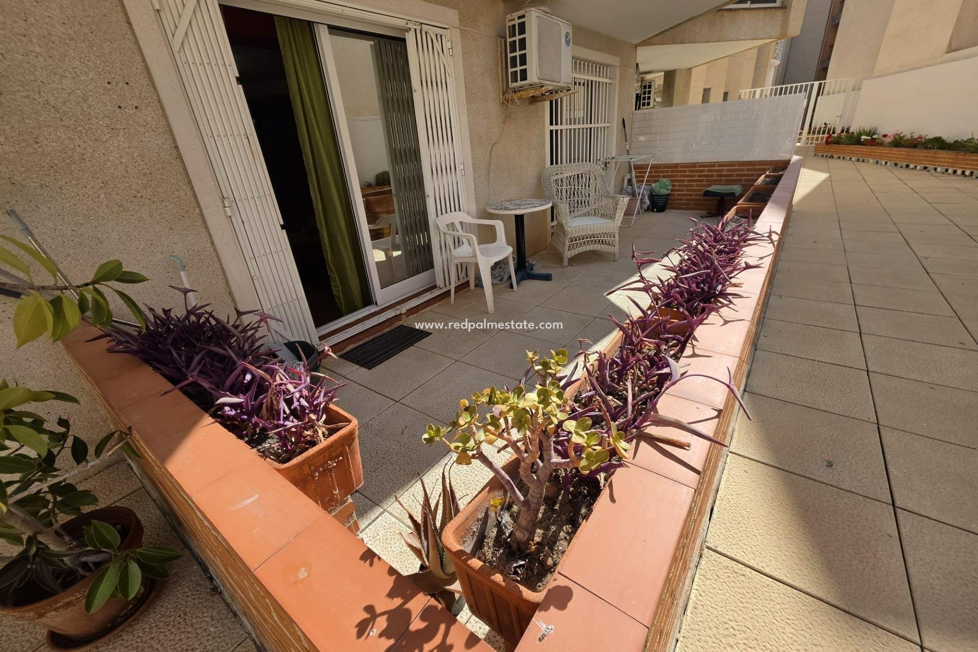 Revente - Appartement -
Torrevieja - Centro Torrevieja