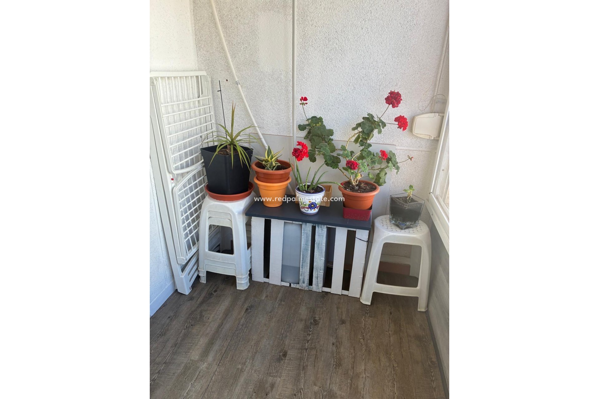 Revente - Appartement -
Torrevieja - Centro Torrevieja