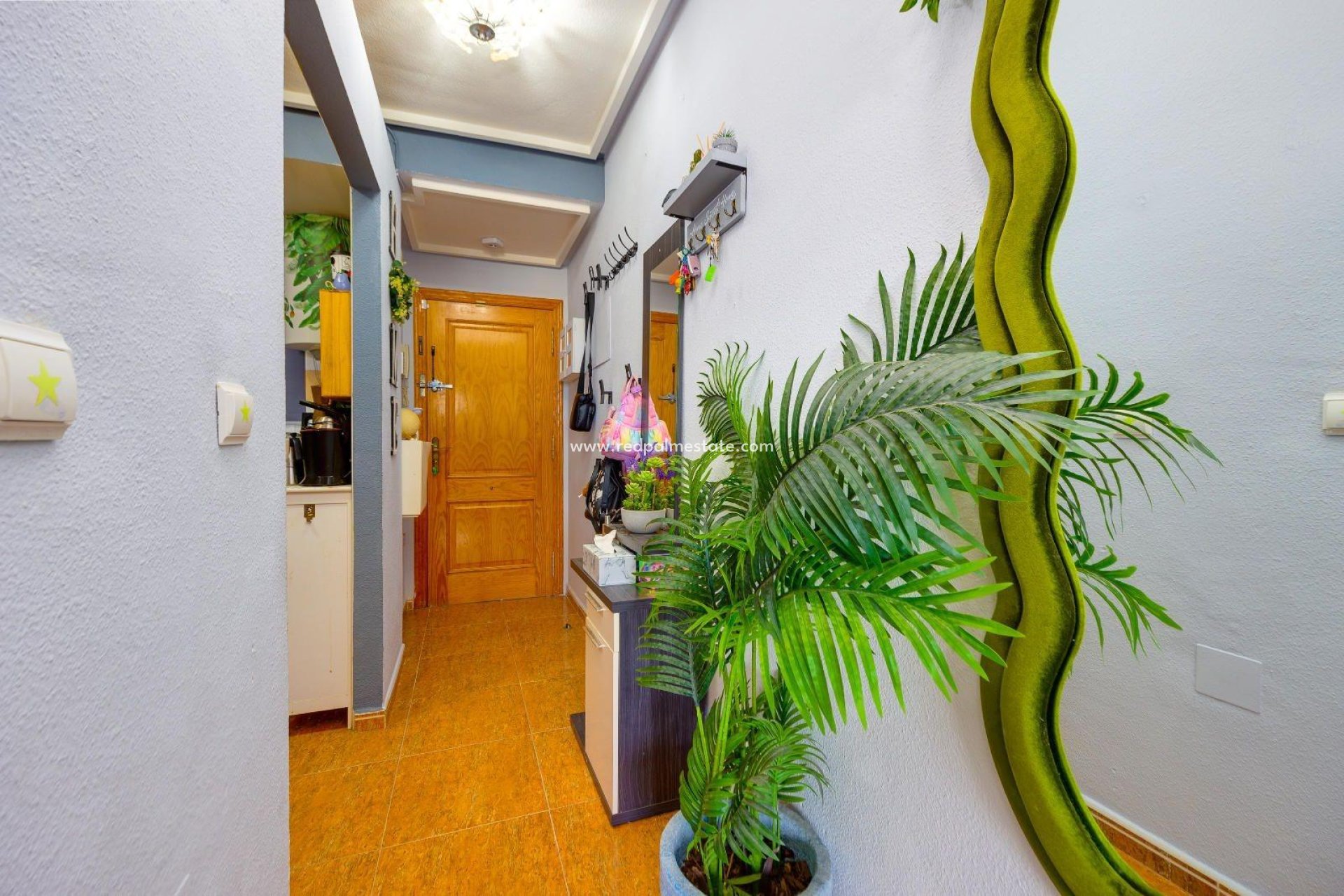 Revente - Appartement -
Torrevieja - Centro Torrevieja