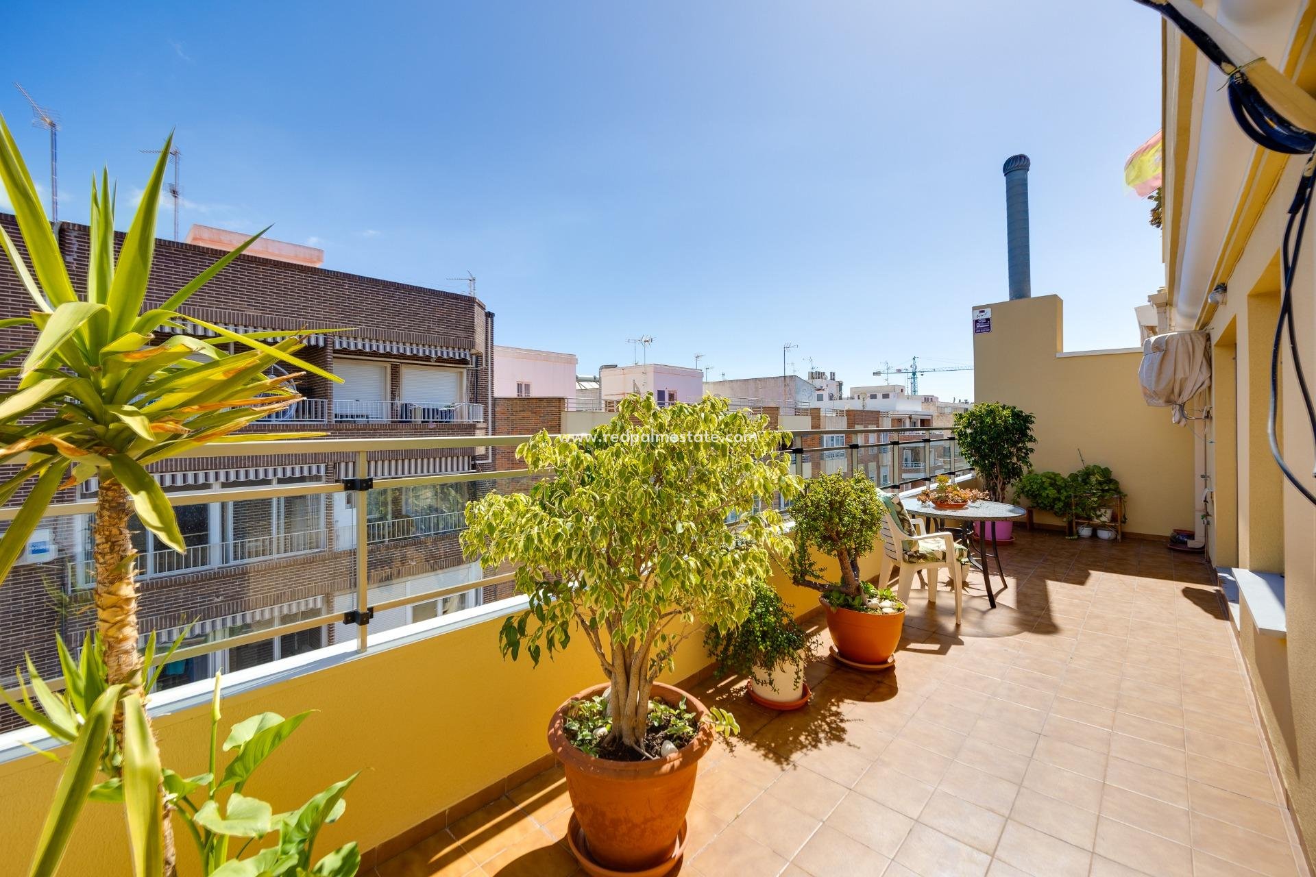 Revente - Appartement -
Torrevieja - Centro Torrevieja
