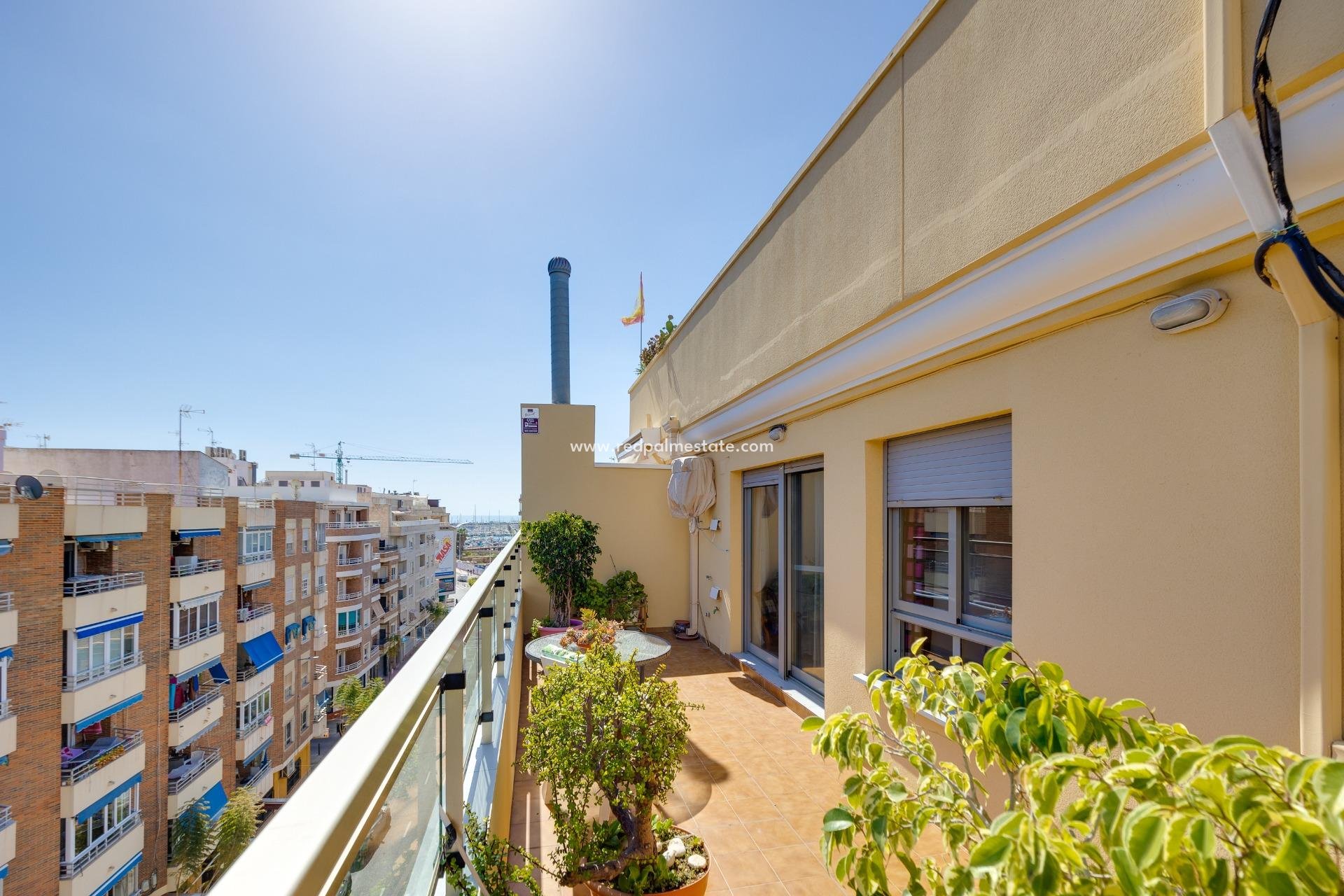 Revente - Appartement -
Torrevieja - Centro Torrevieja