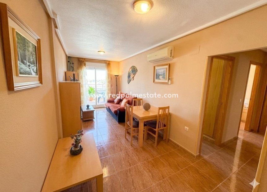 Revente - Appartement -
Torrevieja - Centro Torrevieja