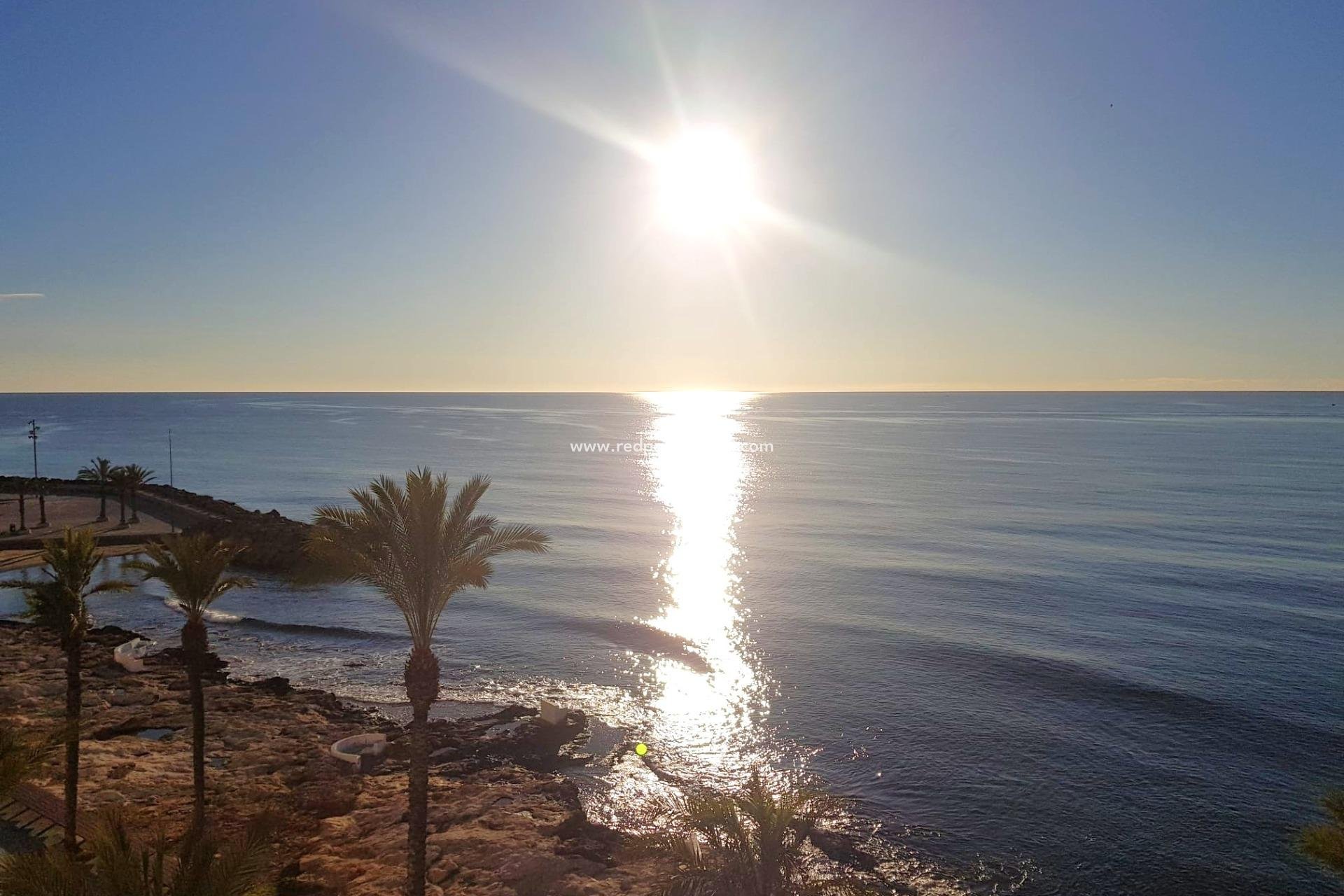 Revente - Appartement -
Torrevieja - Centro Torrevieja