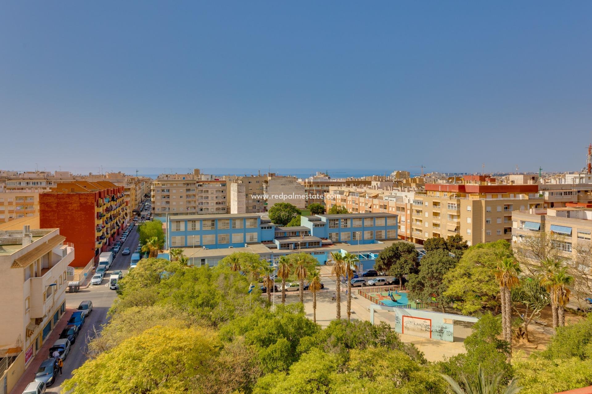 Revente - Appartement -
Torrevieja - Centro Torrevieja