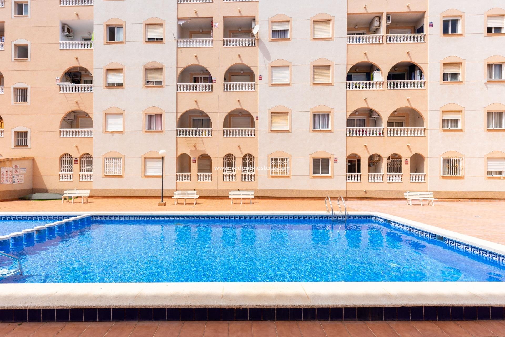 Revente - Appartement -
Torrevieja - Centro Torrevieja