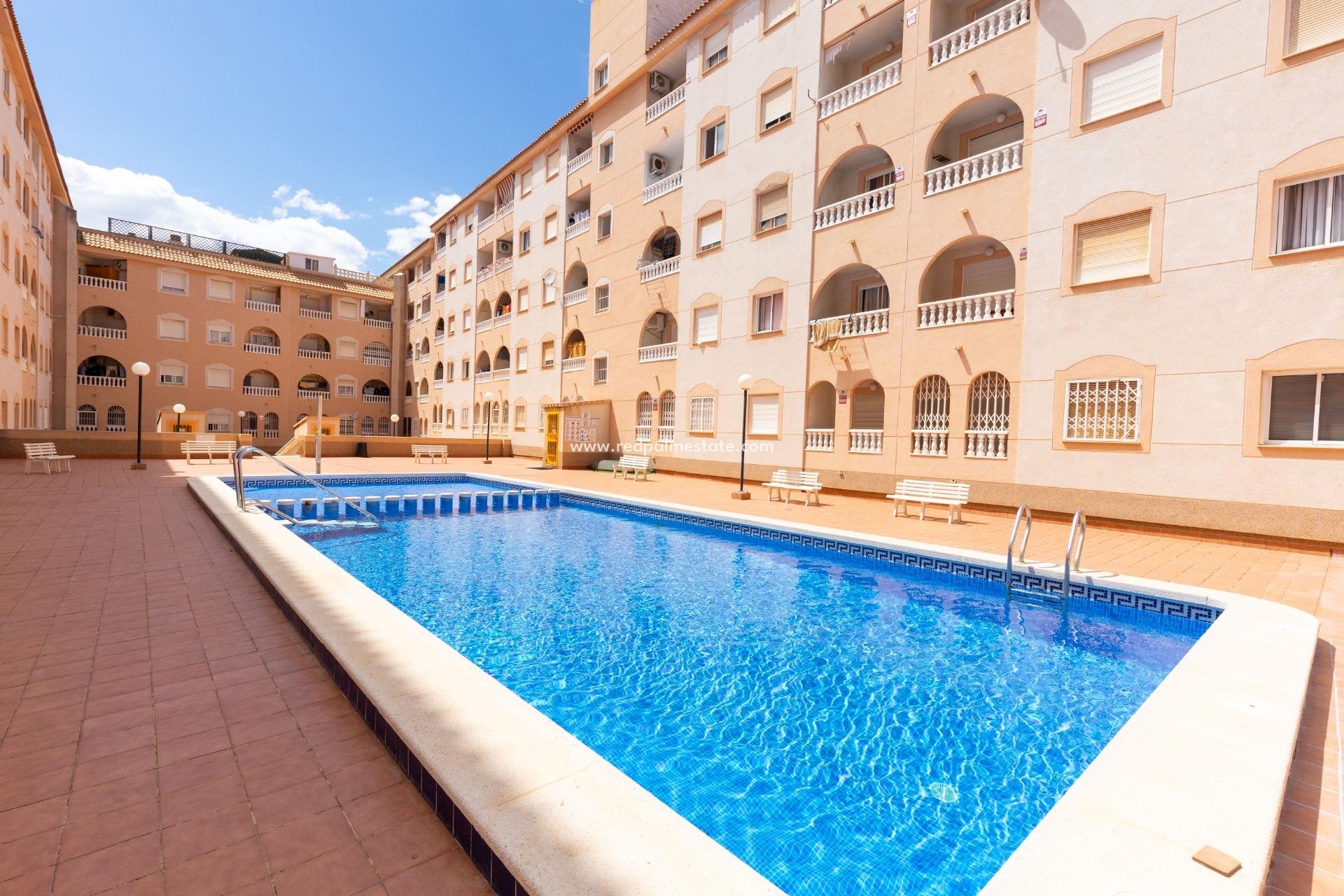Revente - Appartement -
Torrevieja - Centro Torrevieja