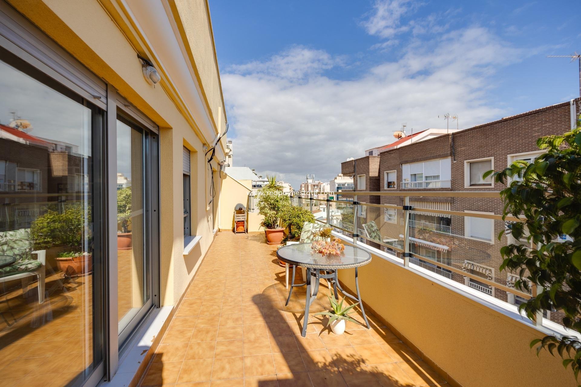 Revente - Appartement -
Torrevieja - Centro Torrevieja