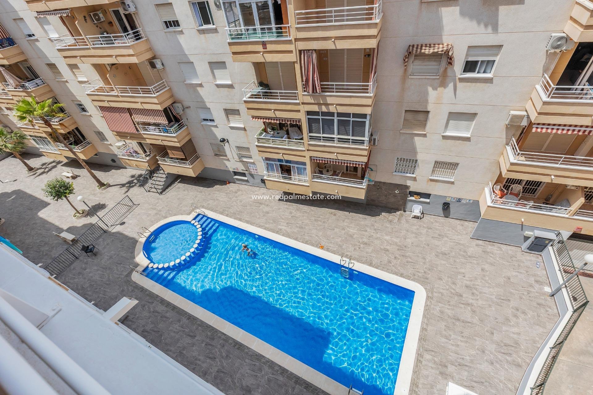 Revente - Appartement -
Torrevieja - Centro Torrevieja