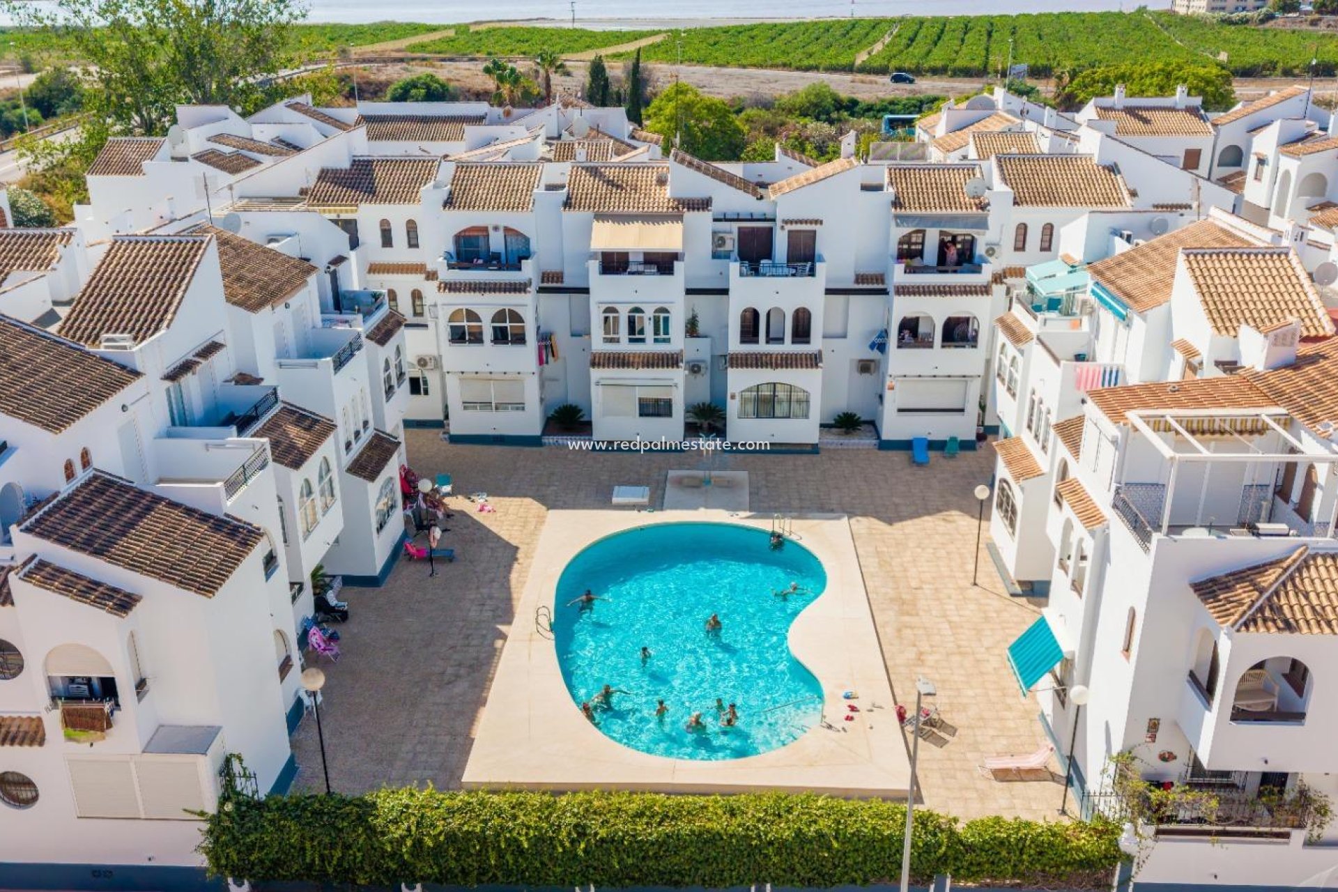 Revente - Appartement -
Torrevieja - El Acequión - Los Náufragos