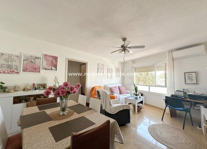 Revente - Appartement -
Torrevieja - El Acequión - Los Náufragos