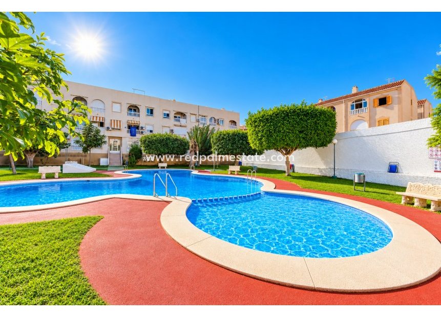 Revente - Appartement -
Torrevieja - El Acequión - Los Náufragos