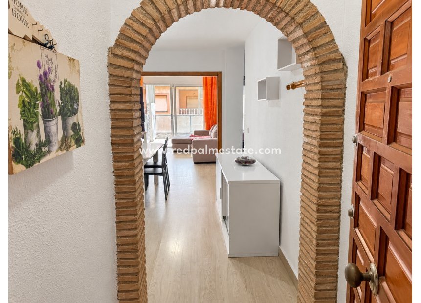 Revente - Appartement -
Torrevieja - El Acequión - Los Náufragos