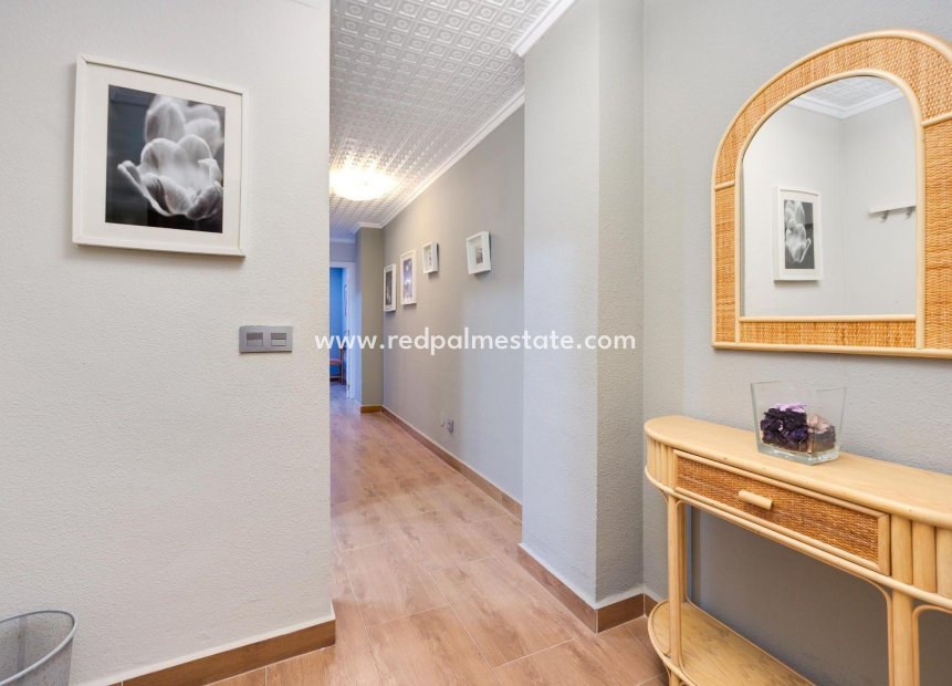 Revente - Appartement -
Torrevieja - El Acequión - Los Náufragos